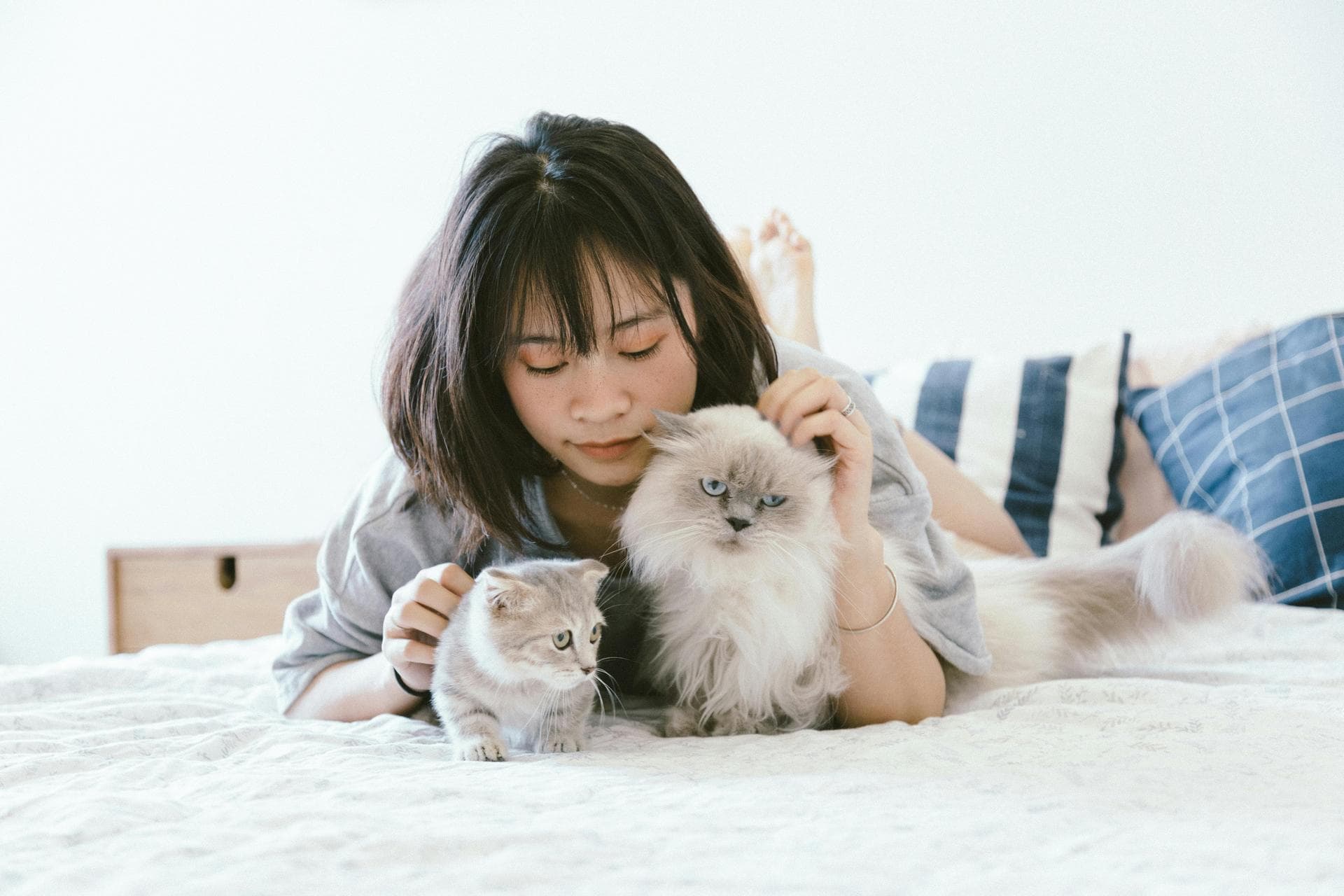 Dog & Cat Vets in York